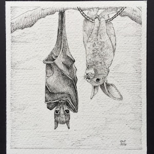 Mini Bat & Bunny Print Epson Velvet Fine Art Paper 4.5x5