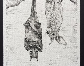 Mini Bat & Bunny Print Epson Velvet Fine Art Paper 4.5x5