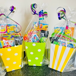 Party Bags Diy Party Favors For Kids Kids Goodie Birthday Party