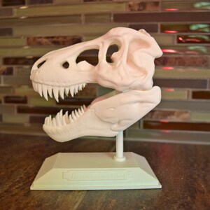 T-rex Skull 3D Printed, T-rex Skull, 3d Print - Etsy