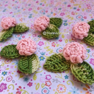 Può includere: Cinque fiori rosa all'uncinetto con foglie verdi. I fiori sono piccoli e delicati, e le foglie sono di un verde più scuro.