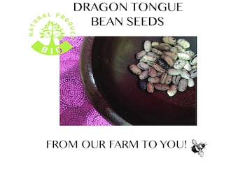 Dragon Tongue Bush Beans