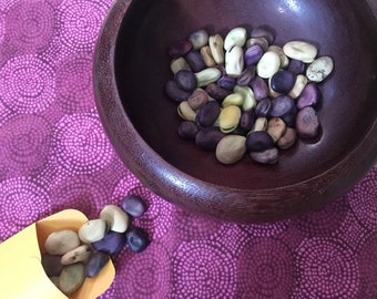 San Luis Valley & Purple Guatemalan Fava Bean Mix