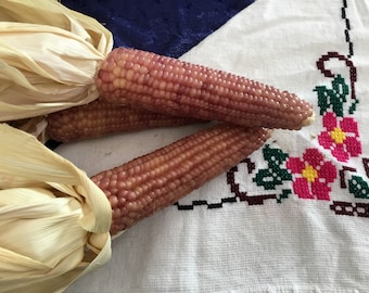 Early Pink Pearl Corn Seeds