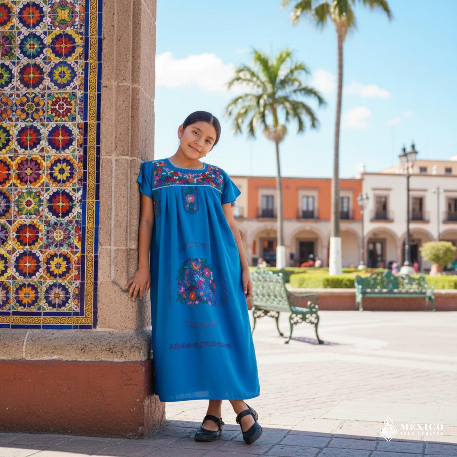 sachin and babi light blue dress Mexican Fashion Embroidered Dress - Nayibi Mexico Puebla Black Dress