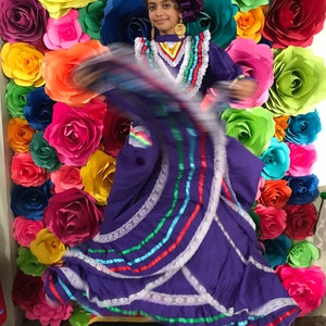 Mexican Jalisco Dress Teenager-size 14 Color Purple Stunning Beautiful