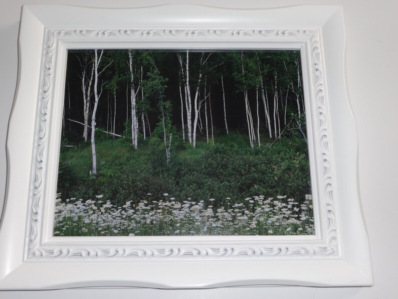 Framed Nature Landscape Color Photo Print Framed Floral Etsy