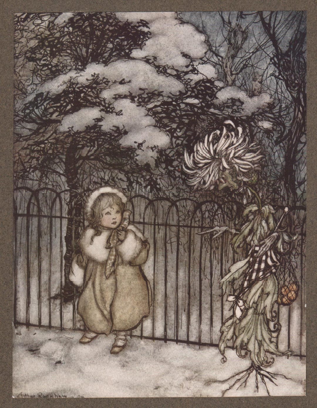 Peter Pan in Kensington Gardens, Arthur Rackham Vintage Tipped-in Print ...