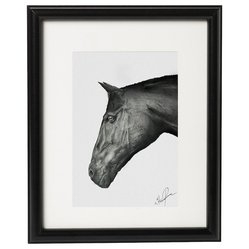 Cheval Tête Dessin Crayon Art Noir Et Blanc Peinture Impression Insta Télécharger Hand Drawn