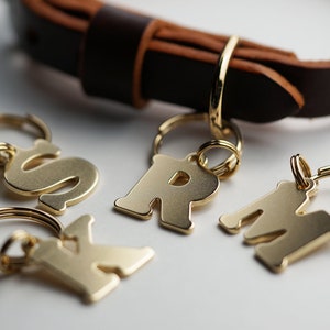 Placa de identificación para perro, placa de identificación para perro con letras del alfabeto, placa de identificación para perro de latón, placas de identificación para mascotas, placa de identificación para perro personalizada, placa de identificación para perro grabada, placa con nombre inicial, llavero, llavero