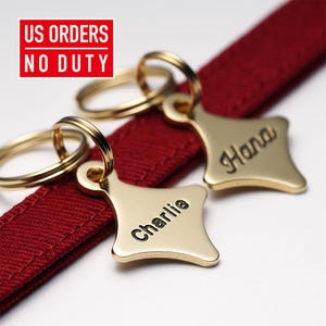 Etiqueta de identificação para gatos Twinkle Brass – Etiqueta personalizada com nome gravado para seu pet