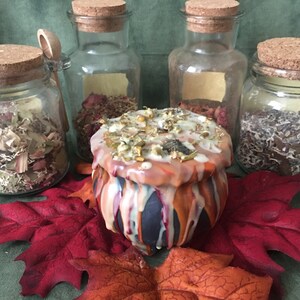May include: A decorative cauldron-shaped candle with orange, white, and blue wax drips, surrounded by glass jars with cork lids filled with dried herbs and flowers. Red and orange artificial leaves are placed in the foreground.