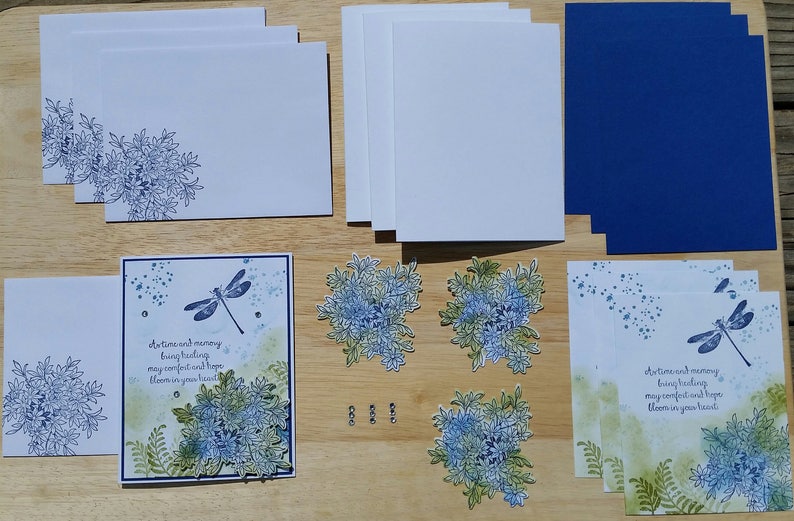 Handmade SYMPATHY Card Kit, STAMPIN' UP! Awesomely Artistic, Dragonfly, Flowers, image 2
