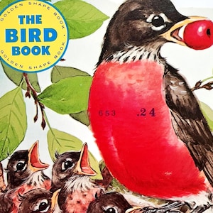 The Bird Book, Florence Sarah Winship, 1971, Vintage 1970s Golden Shape Book, 1973