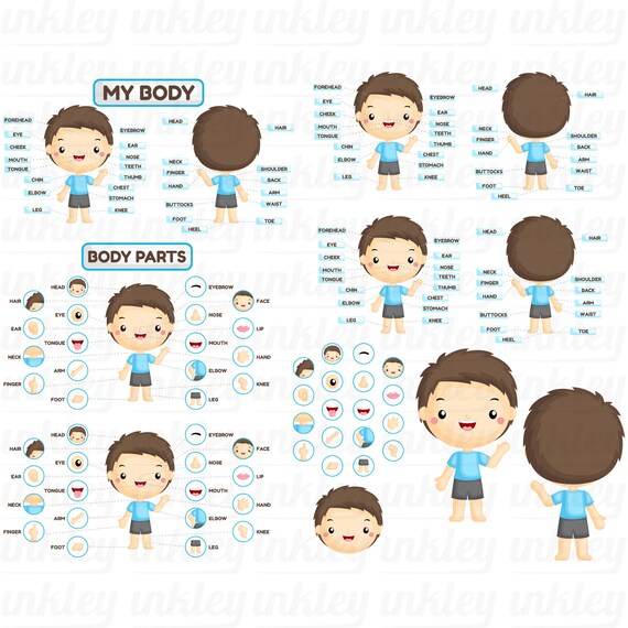 Boy Body Parts Clipart Kids Body Part Chart Clip Art Etsy