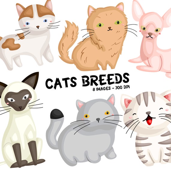 Cat litter box clipart Cute cat sand box digital clip art Funny cat printable stickers Planner Cleaning reminder Kawaii pet vector graphics