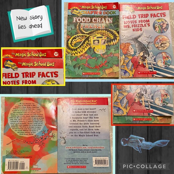 Remember the MAGIC SCHOOL BUS Vintage Books Set of 2 - Etsy