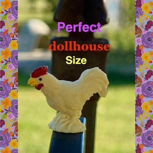 Miniature Farm Rooster