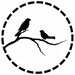 Sparrow