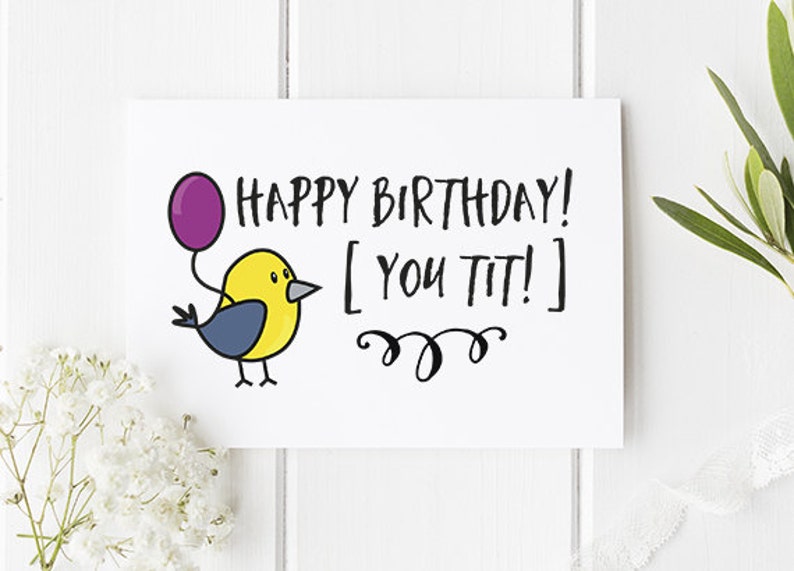 rude birthday card happy birthday you tit funny birthday