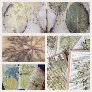Tutorial stampa botanica su carta