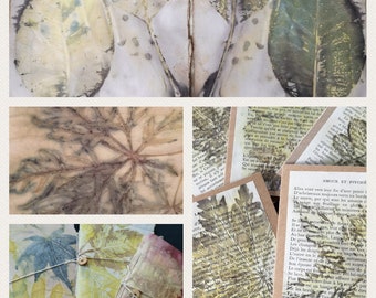 Botanical printing on paper tutorial