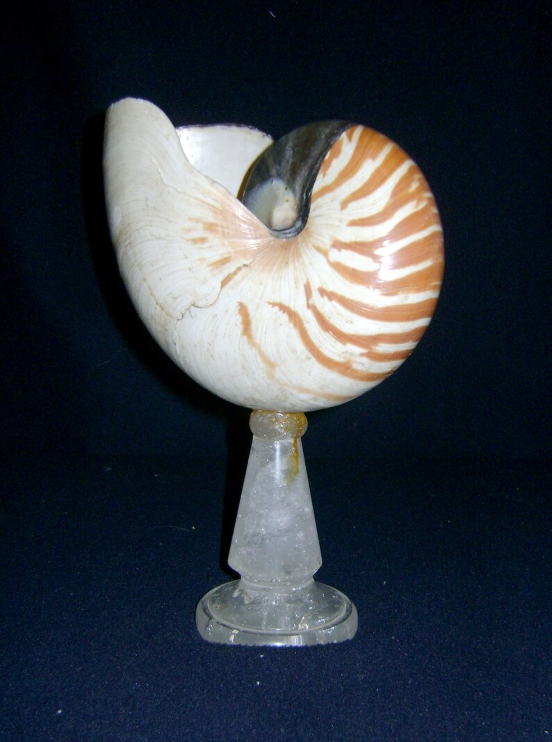 feet in rock crystal with Nautilus shell
