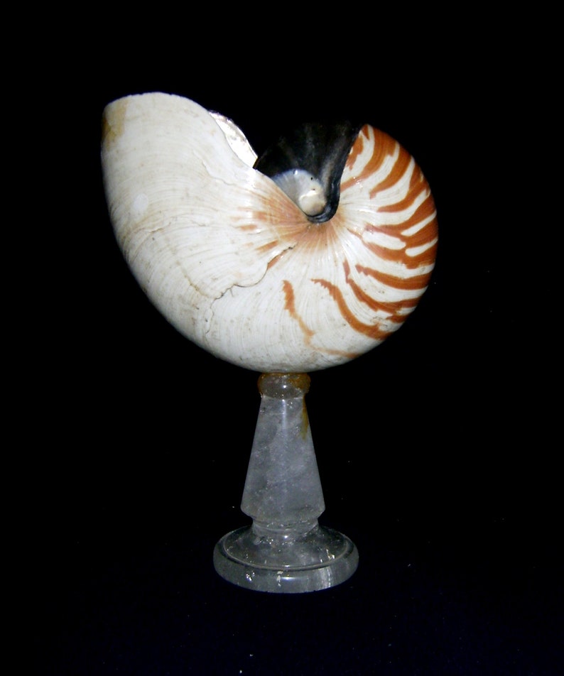 feet in rock crystal with Nautilus shell