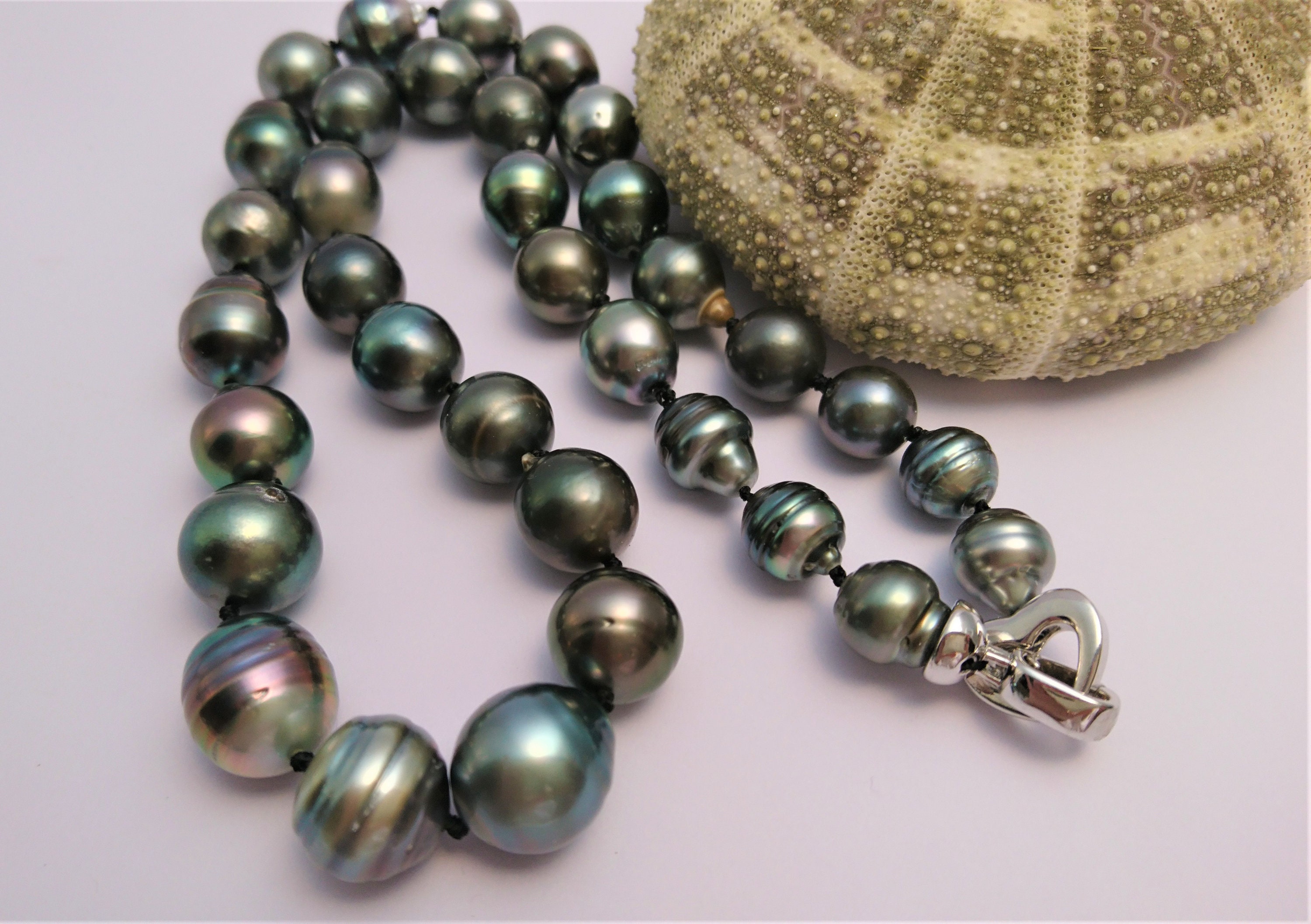 Prounis 22k, Tahitian Pearl Necklace with Fibula Clasp | Santa Fe Dry Goods  . Workshop . Wild Life