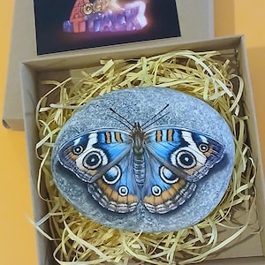 Arte de pintura sobre piedra de la mariposa Junonia coenia. Pintada a mano sobre piedra marina plana natural con acrílicos.