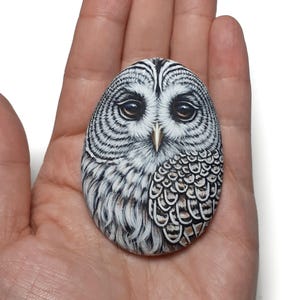 Painted Stone Barred Owl Portrait, Owl Art Home Decor, Acrylic Painting on Sea Rock.
