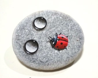 Coccinelle et gouttes d'eau peintes en rouge caillou ! Pierre peinte, Art de la pierre miniature fait main, Peinture acrylique sur pierre plate naturelle de la mer