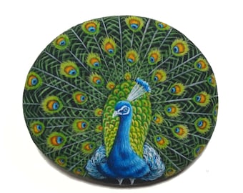 ¡Un hermoso pavo real pintado a mano sobre piedra! Pintado con acrílicos y acabado con barniz satinado para protección, pintura de piedra pavo real