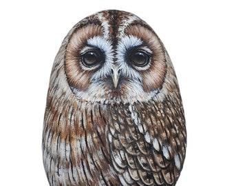 Tawny owl hand painted on sea stone! Painted with acrylics and finished with satin varnish protection, owl painted rock, bird stone painting