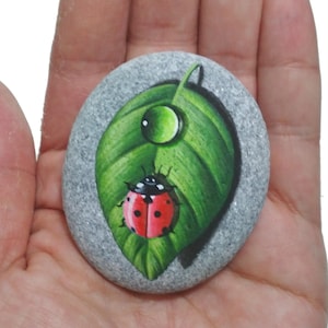 Handgeschilderde lieveheersbeestje kiezelkunst: acrylschildering zeesteen