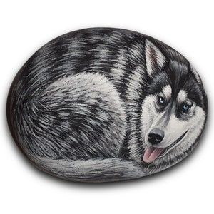 May include: A hand-painted rock art piece depicting a black and white husky dog with blue eyes. The dog is curled up in a sleeping position with its tongue sticking out.