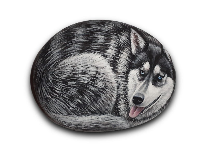 May include: A hand-painted rock art piece depicting a black and white husky dog with blue eyes. The dog is curled up in a sleeping position with its tongue sticking out.
