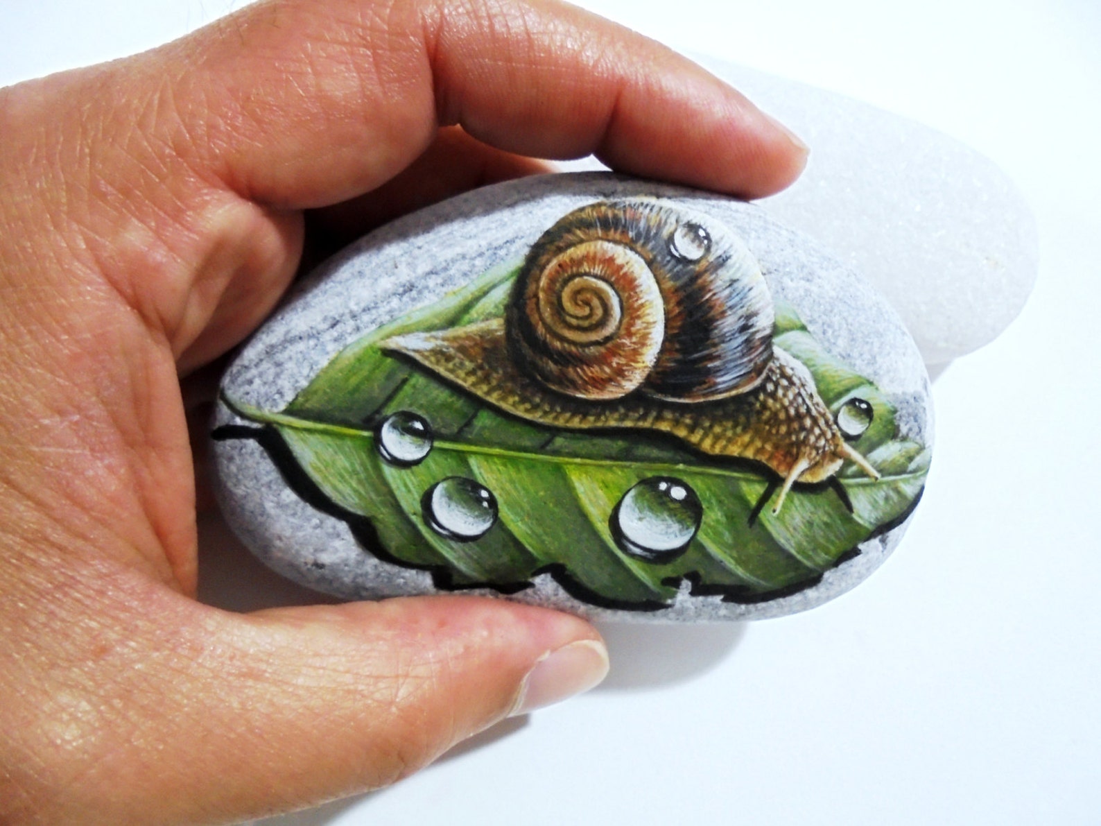 Hand Painted stone Snail on a leaf Is Painted with high Etsy