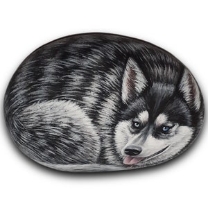May include: Hand-painted rock art depicting a black and white husky dog with blue eyes, lying down with its tongue sticking out.