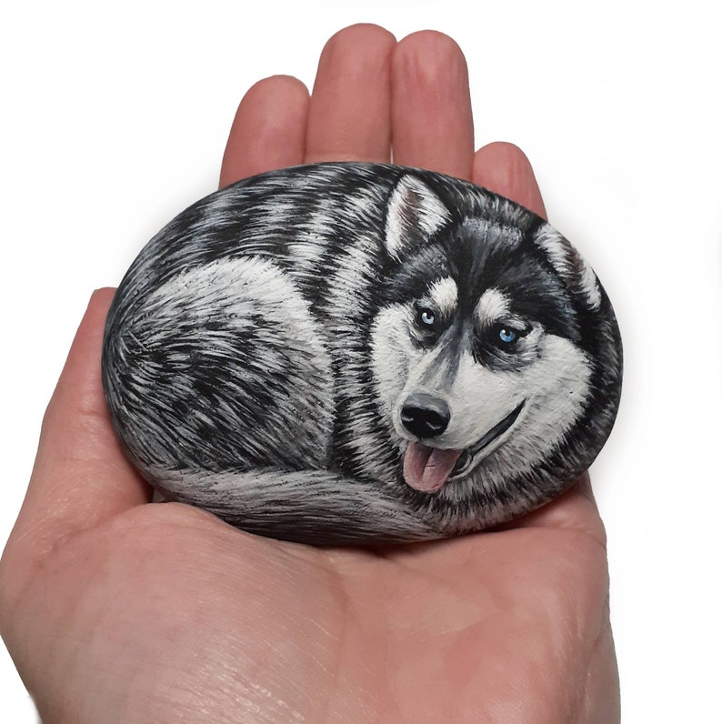 May include: Hand-painted rock art of a black and white husky dog with blue eyes. The dog is painted in a realistic style and is lying down with its tongue sticking out.