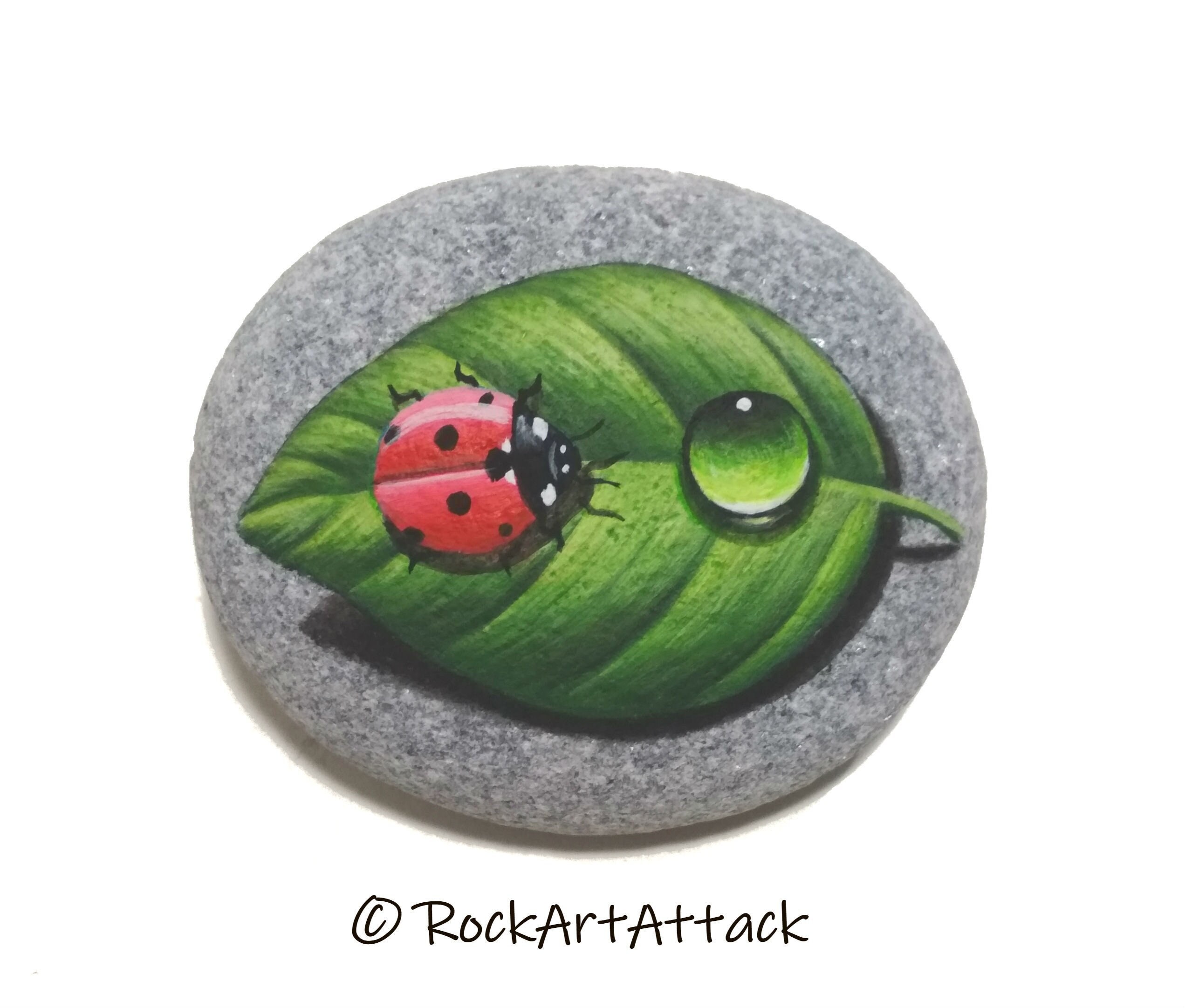 Dessin Coccinelle Sur Une Feuille Coccinelle rouge et goutte de pluie sur une feuille verte - Etsy Canada