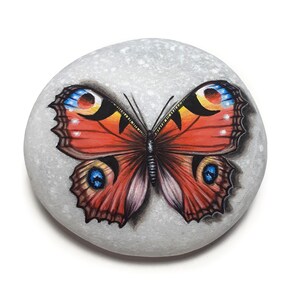 Hand-Painted Peacock Butterfly Stone Art – Natural Sea Stone Decoration image 5