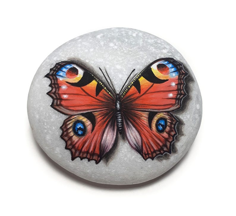 Hand-Painted Peacock Butterfly Stone Art – Natural Sea Stone Decoration image 5