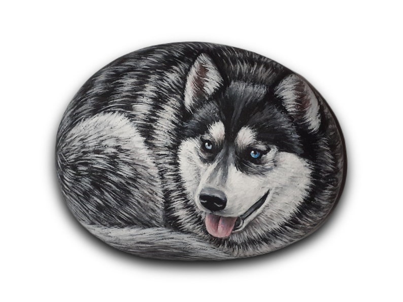 May include: Hand-painted rock art of a black and white husky dog with blue eyes. The dog is painted in a realistic style and is curled up in a sleeping position.