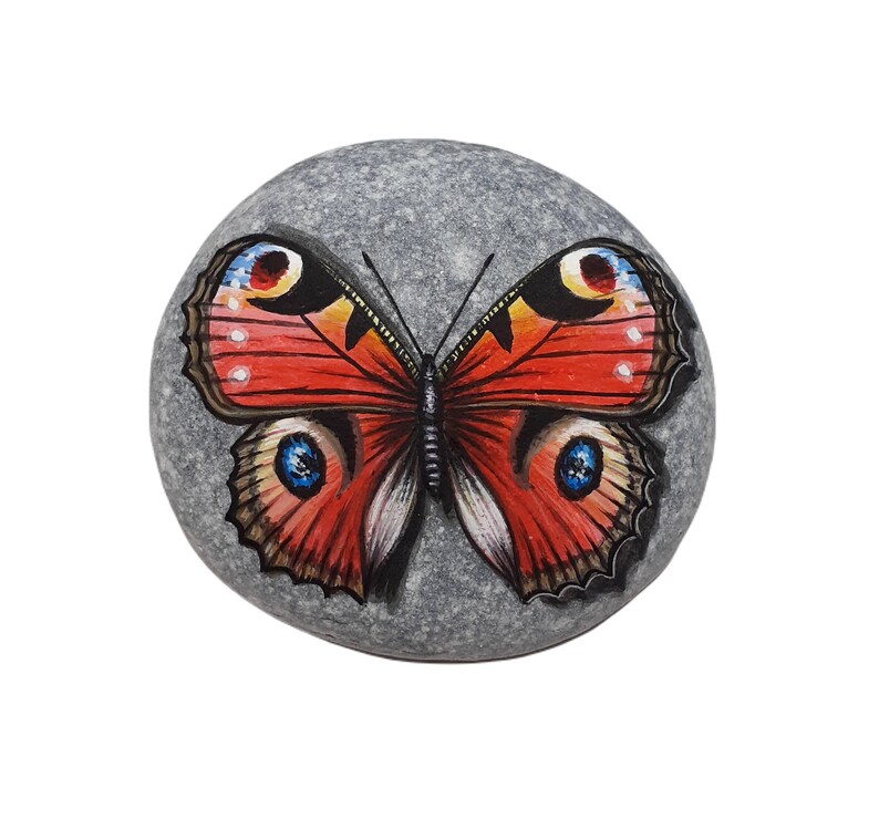 May include: A hand-painted, gray stone featuring a vibrant butterfly design. The butterfly has red, orange, and black wings with blue and yellow accents. The stone is oval-shaped and sits against a white background.