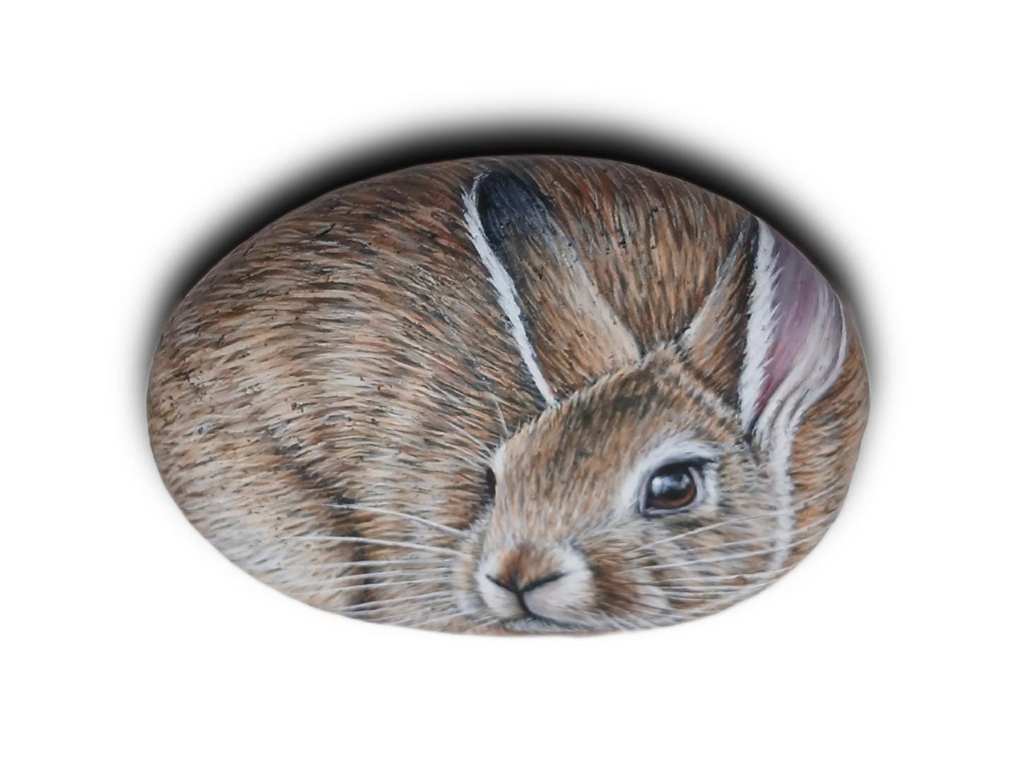 Simple Rabbit Pebbles Paint Hand-painted Stone Art Realistic Rabbit – Miniature Bunny Portrait ...