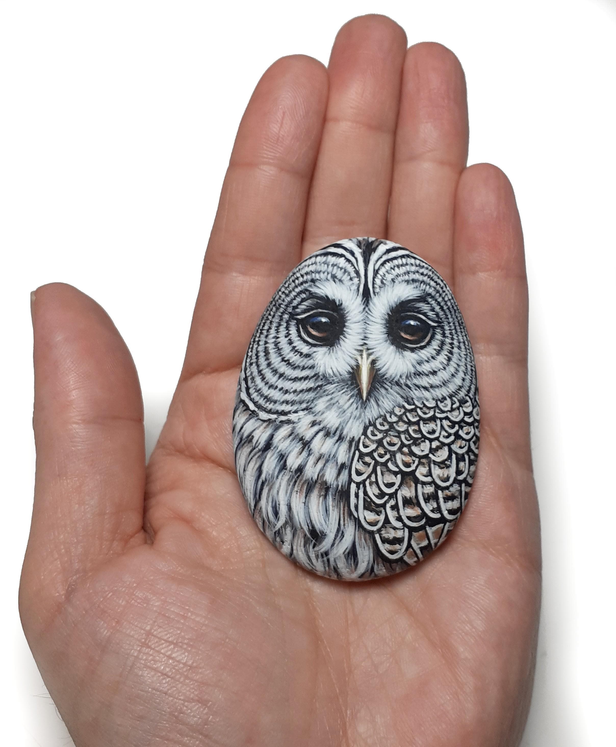 Painted Stone Barred Owl Portrait, Owl Art Home Decor, Acrylic Painting on Sea Rock.
