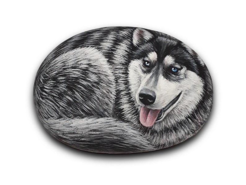 May include: Hand-painted rock art of a black and white husky dog with blue eyes. The dog is painted in a realistic style and has a happy expression.