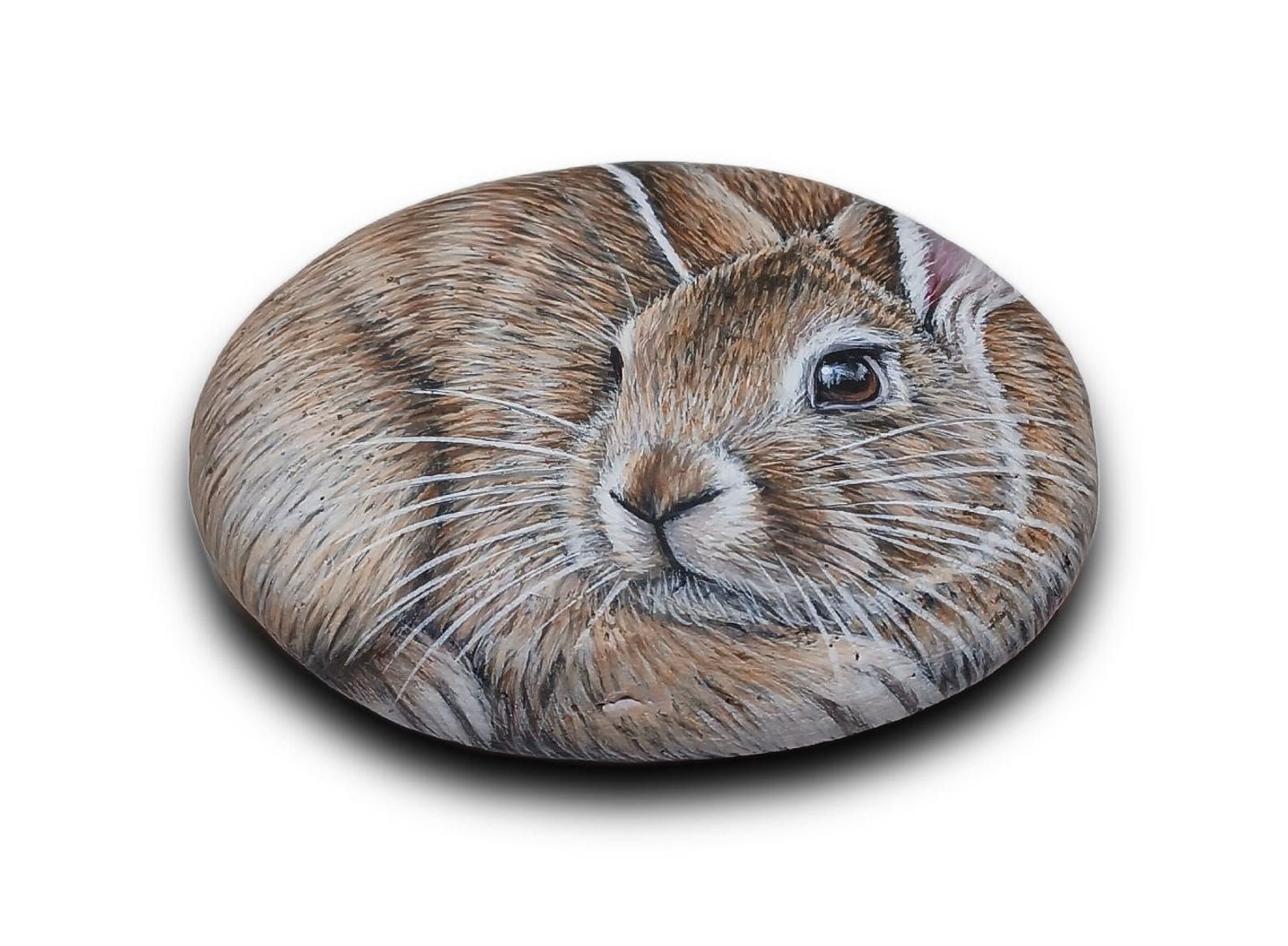 Simple Rabbit Pebbles Paint Hand-painted Stone Art Realistic Rabbit – Miniature Bunny Portrait ...