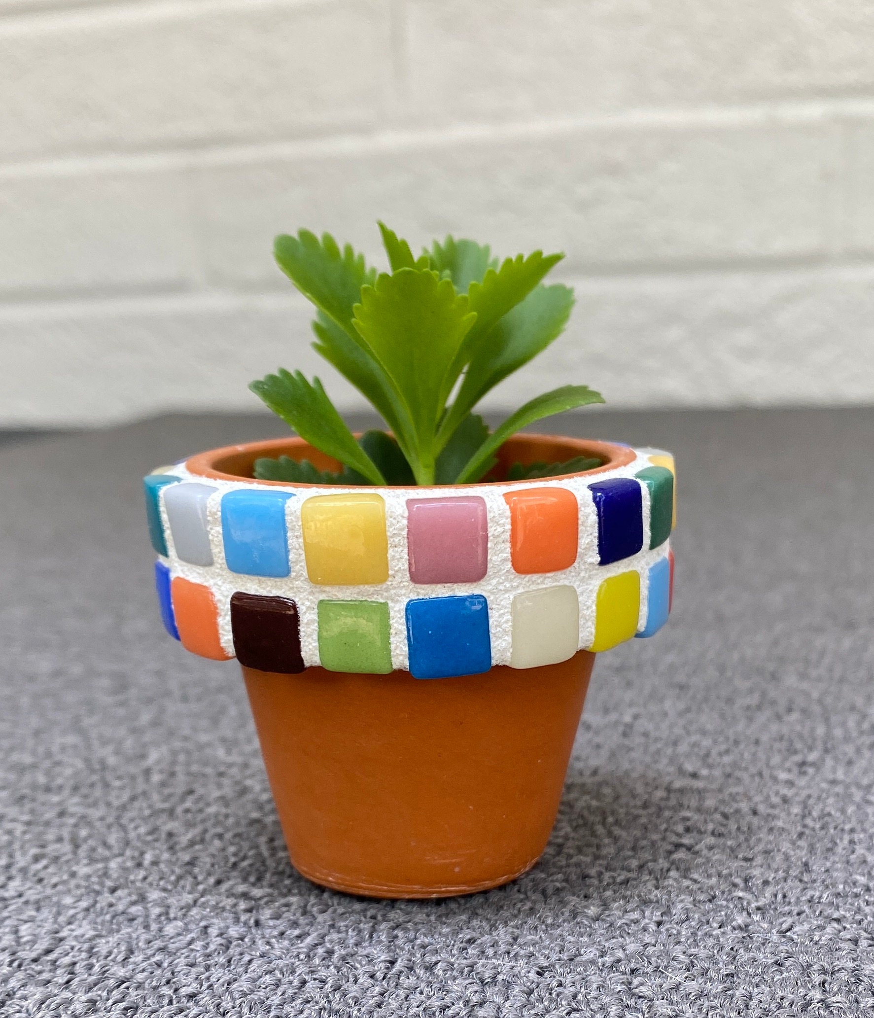 Mini Mosaic Terracotta Flower Pot Succulent Planter - Etsy